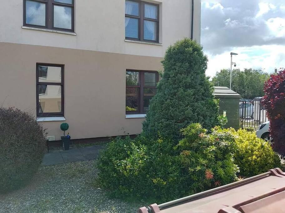 Lovely 2 Bedroom Apartment In Heart Of Данди Экстерьер фото